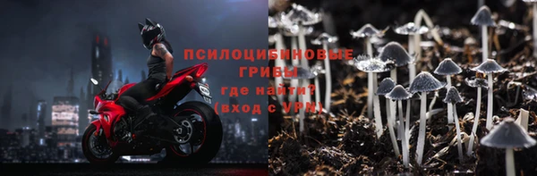 ECSTASY Богородицк