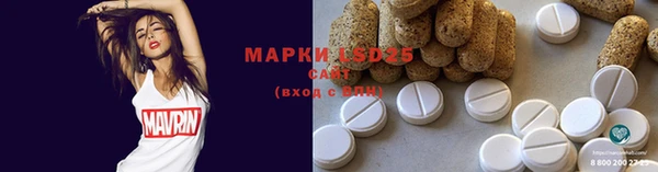 ECSTASY Богородицк