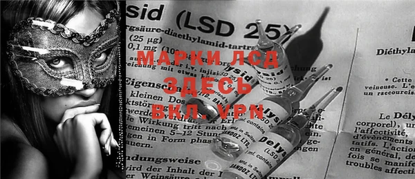 ECSTASY Богородицк