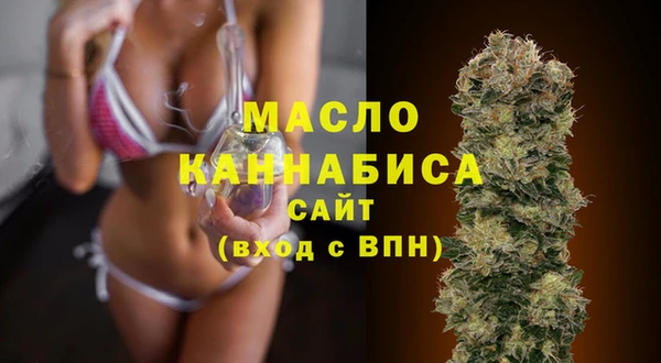 индика Тихвин