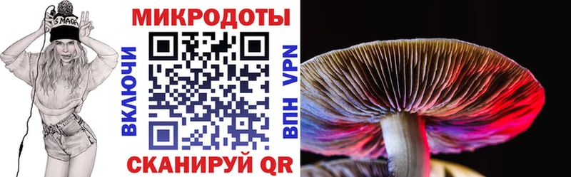 наркошоп  Клинцы  Галлюциногенные грибы GOLDEN TEACHER 